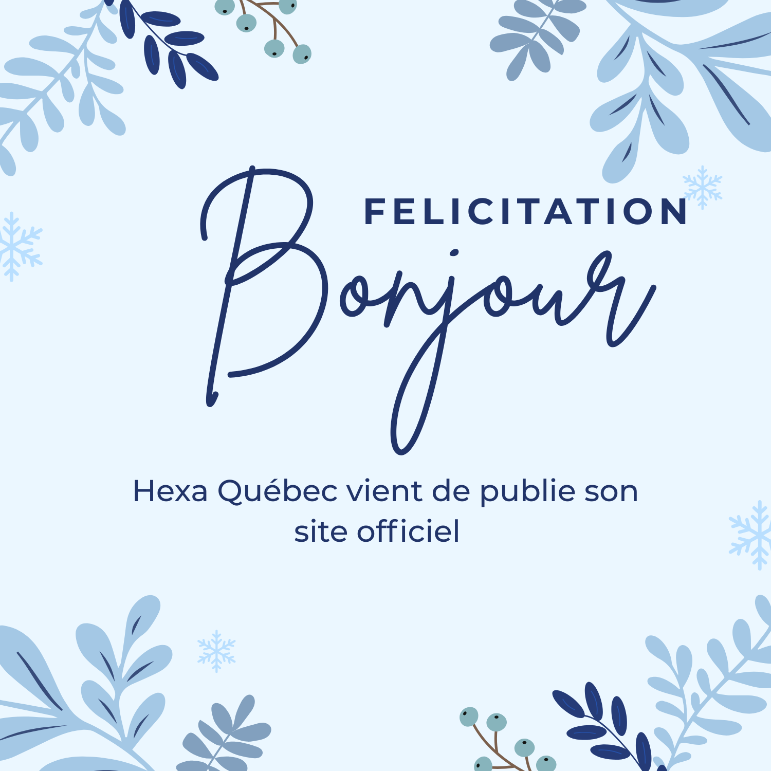 Site Officiel HexaQuébec